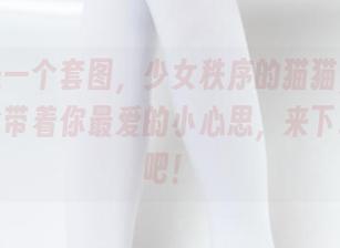 不仅是一个套图，少女秩序的猫猫，可能还偷偷带着你最爱的小心思，来下载试试吧！