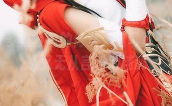 观看许多鱼鱼鱼的修女：这写真，让我疑惑又无从言喻地迷醉